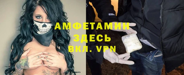 индика Алексин