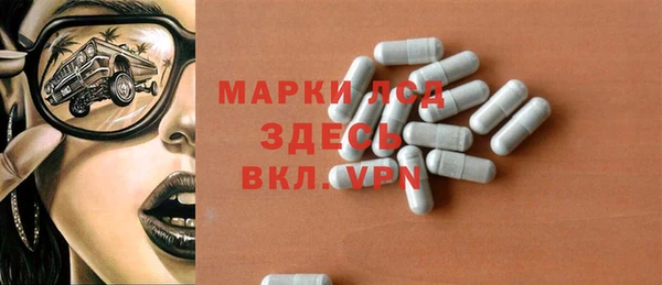 индика Алексин