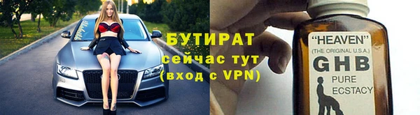 индика Алексин