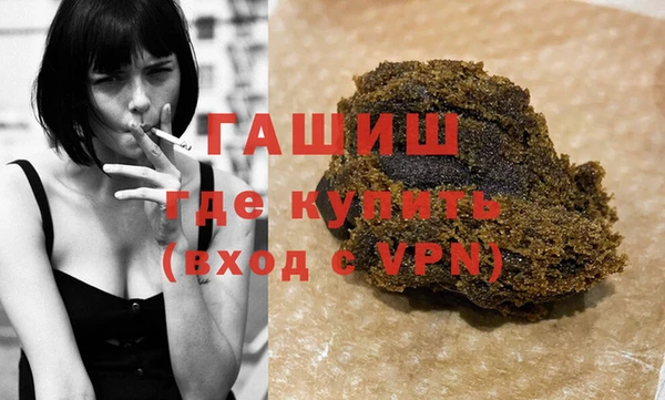 индика Алексин