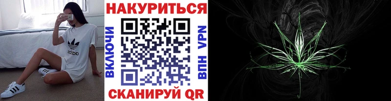 Каннабис сатива  где купить   Лысково 